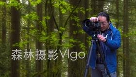 张红甫蜜雪冰城:三块回忆里的淡雅抹茶