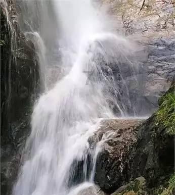 送“福”到乡村 墨香暖新年